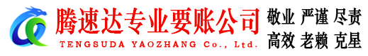 琅琊清债公司